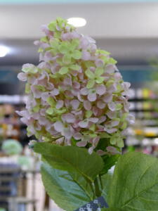 Willy Beyer KG Minden - Großhandel für Floristenbedarf, Wohn- und Gartenaccessoires