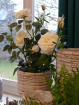 Willy-Beyer-KG_Fruehjahr-Sommer_2020_027_small.JPG