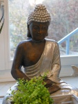 Willy-Beyer-KG_Fruehjahr-Sommer_2020_044_small.JPG