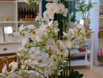 Willy-Beyer-KG_Fruehjahr-Sommer_2020_051_small.JPG